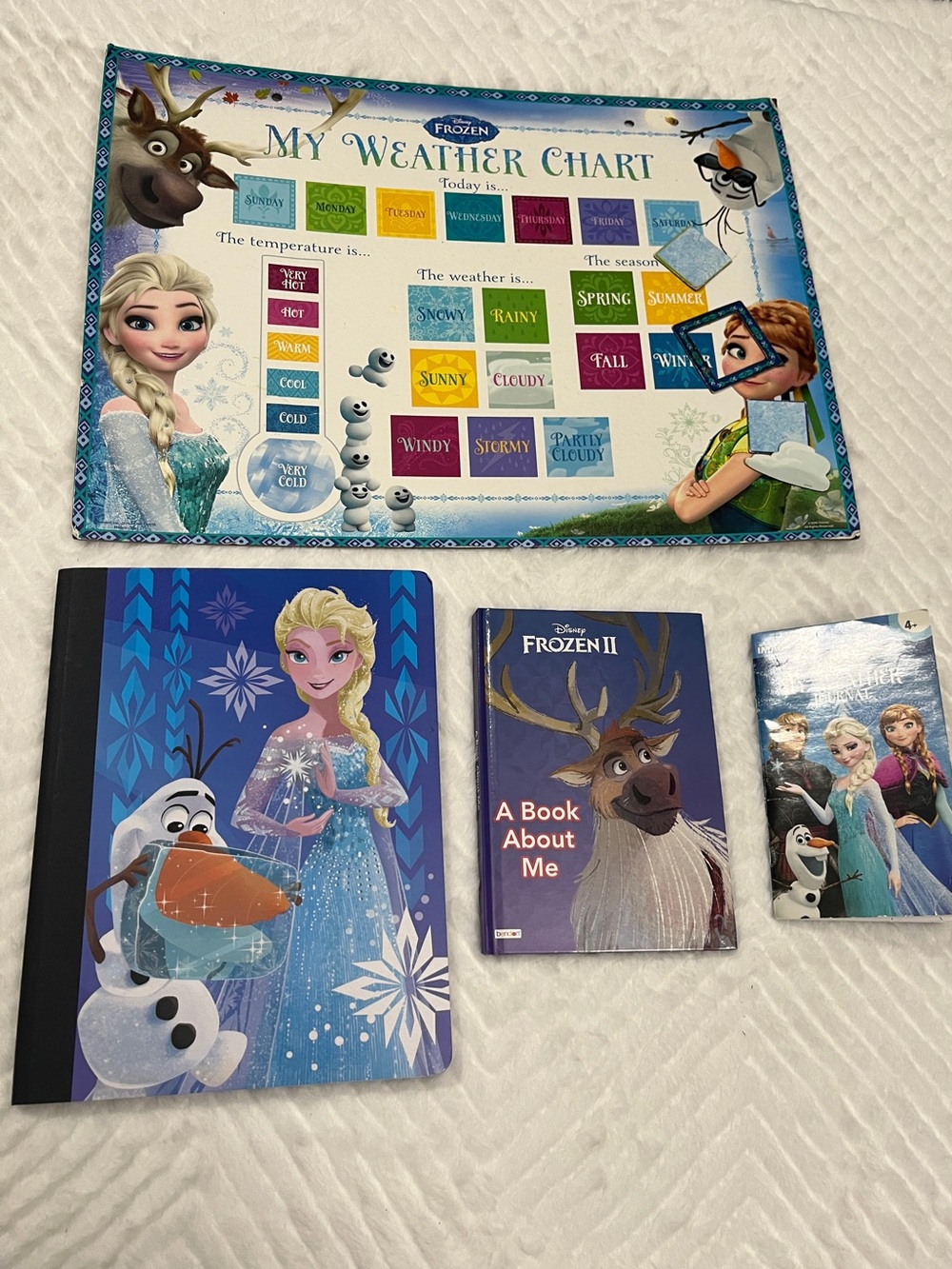 Disney Weather Activity Chart Frozen Theme Notebook‎ Weather Journal Stickers